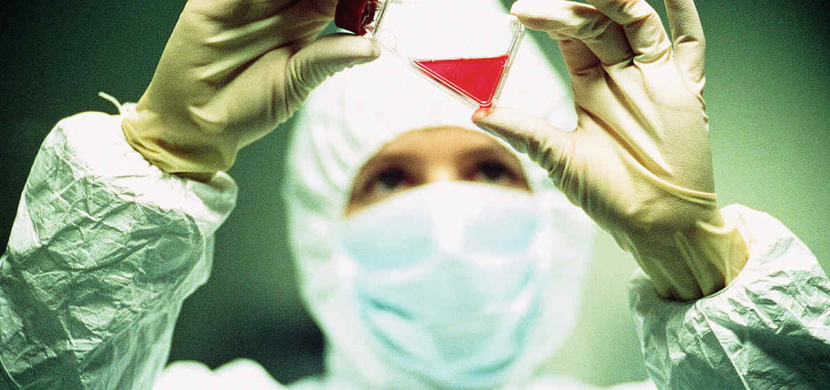 Research Focus: Basic Biology